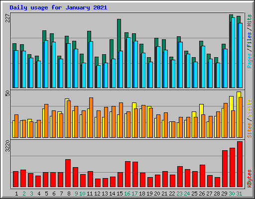 Daily usage for January 2021