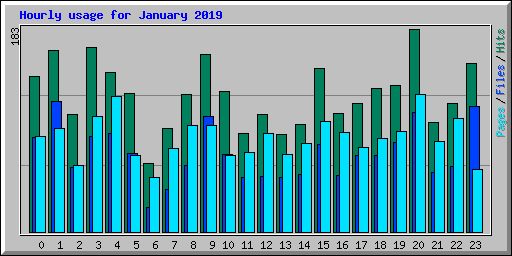 Hourly usage for January 2019