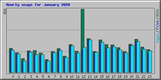 Hourly usage for January 2020