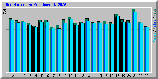 Hourly usage for August 2020