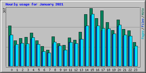 Hourly usage for January 2021