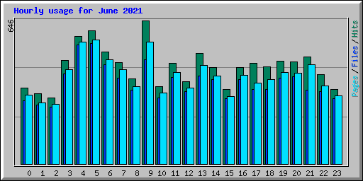 Hourly usage for June 2021